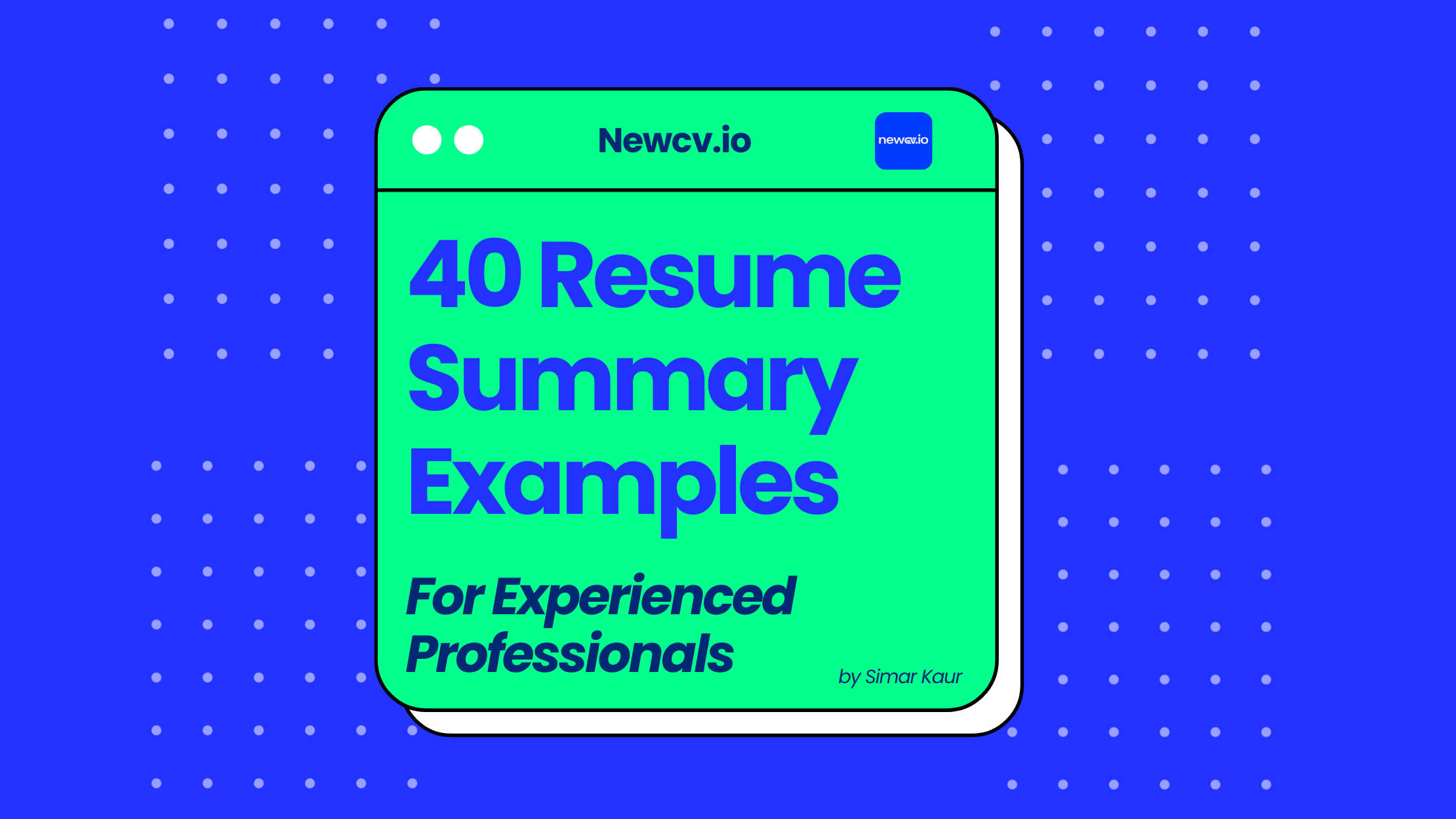 40 Resume Summary Examples for Experienced Professionals