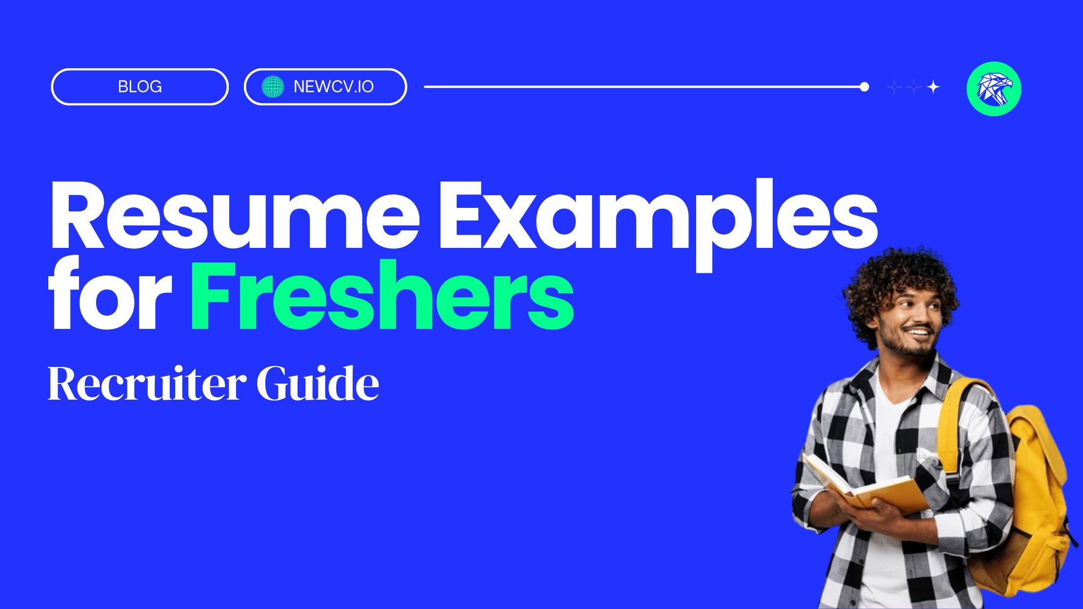 Resume Examples for Freshers